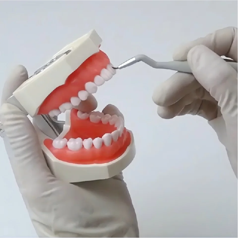 Micro Brush Applicator - Dentistry Micro Brushes Applicator for Composite