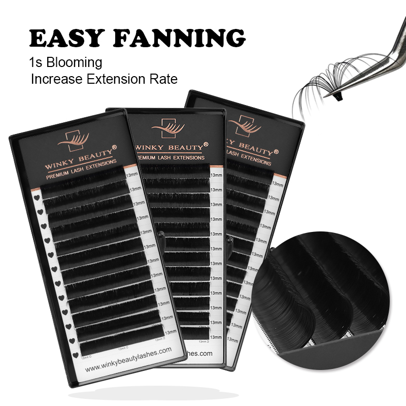 Winky Beauty Easy Fan Eyelashe - огляд і ціна Eyelash Extension Mega Volume