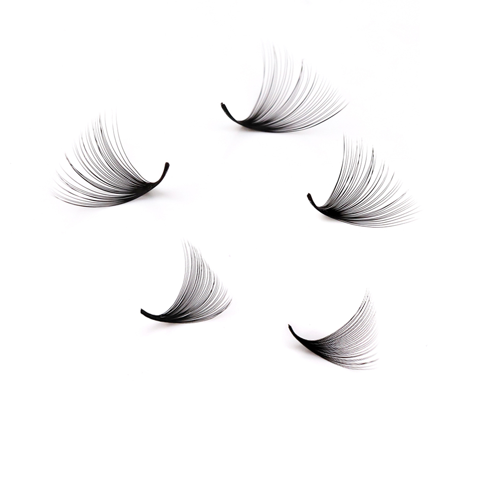 Lashprofessor XL Tray 3D 4D 5D - огляд і ціна Eyelash Extension Mega Volume