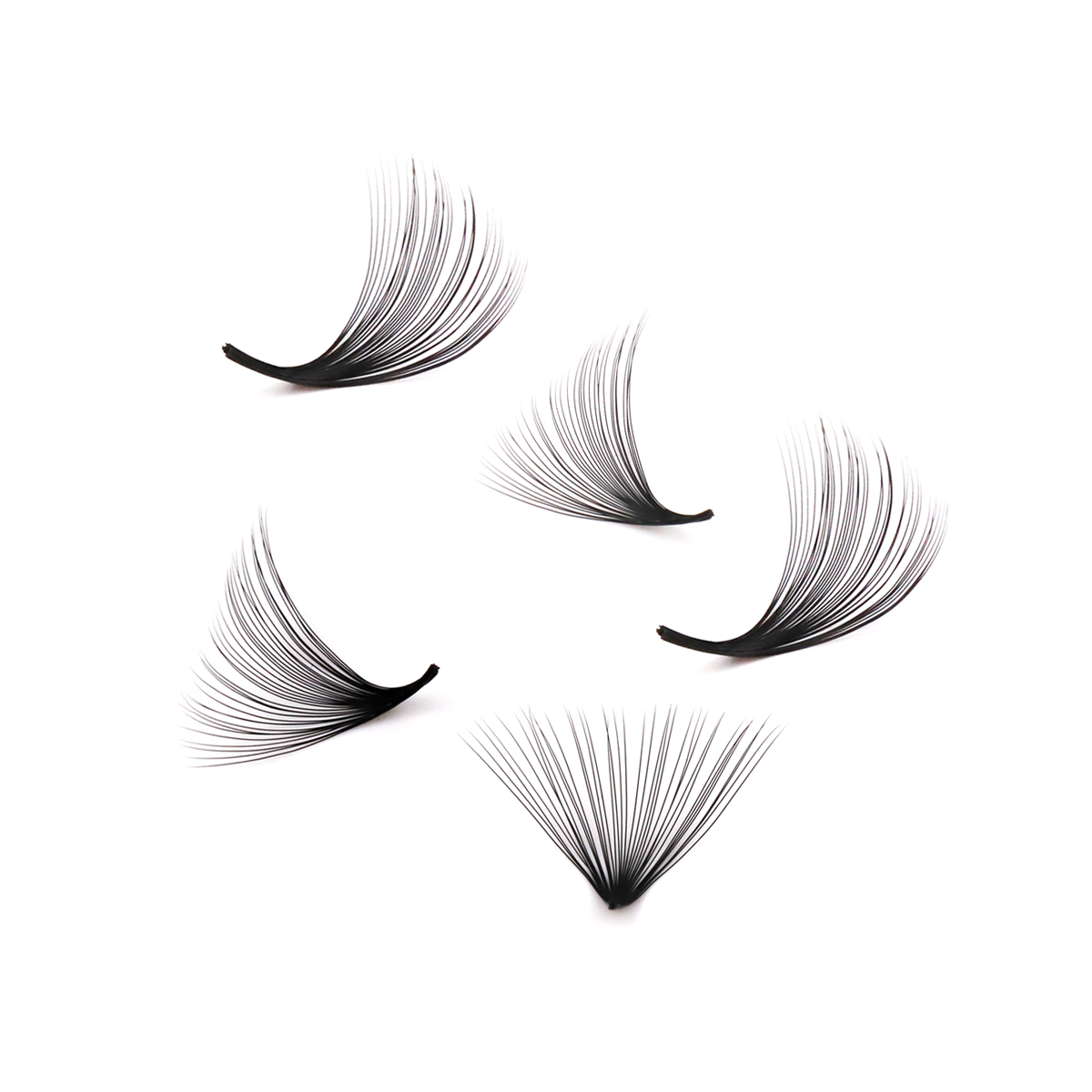 Aguud 2500 Fans Loose Fans Poi - огляд і ціна Eyelash Extension Mega Volume