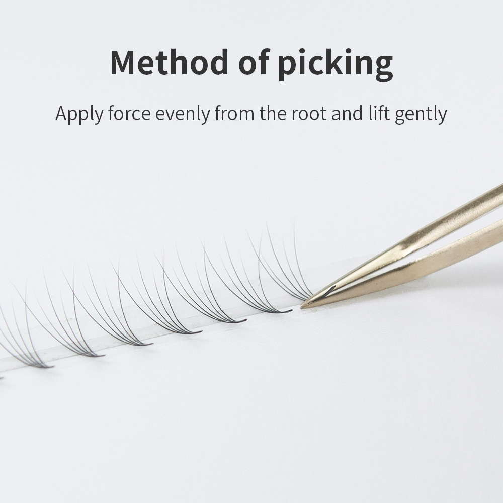 GLAMLASH Premade Volume Fan Ey - огляд і ціна Eyelash Extension Mega Volume
